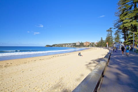 Manly Paradise Motel & Apartments Hotel in Manly