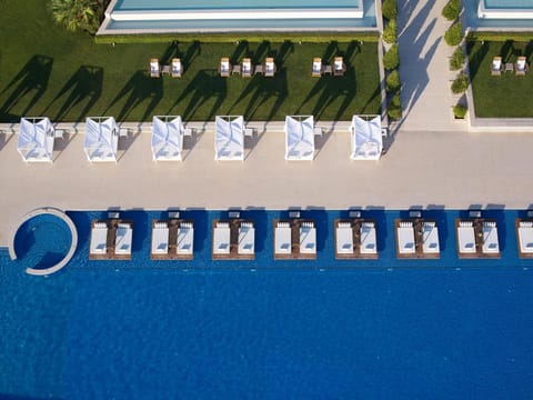 Bird's eye view, Garden, Swimming pool