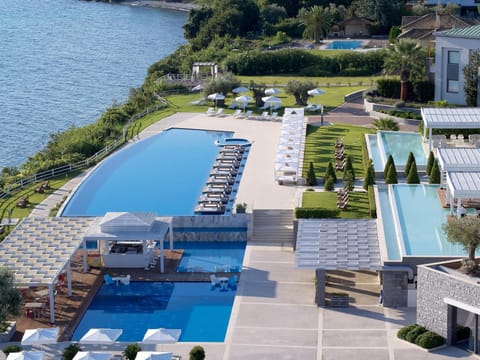 Patio, Bird's eye view, Garden, Swimming pool