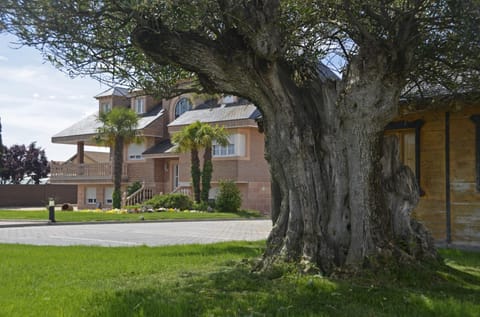 Los Olivos House in Community of Madrid