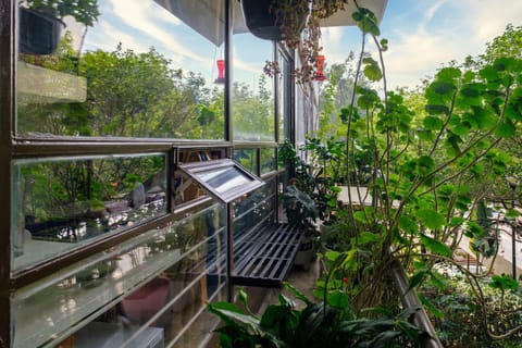 Patio, Patio, Natural landscape, View (from property/room), Balcony/Terrace, Balcony/Terrace, Garden view