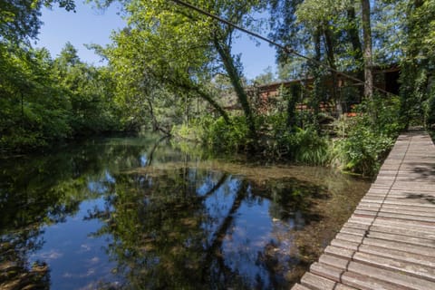 River view, River view