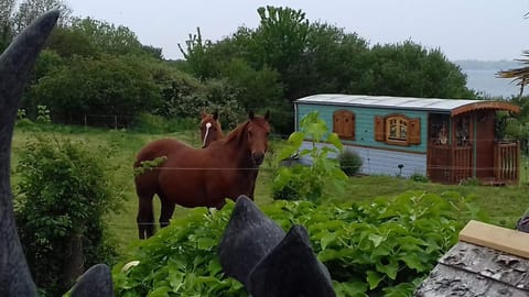 Roulotte de luxe vue mer 180° ,et un ha de verdure Luxury tent in Finistere