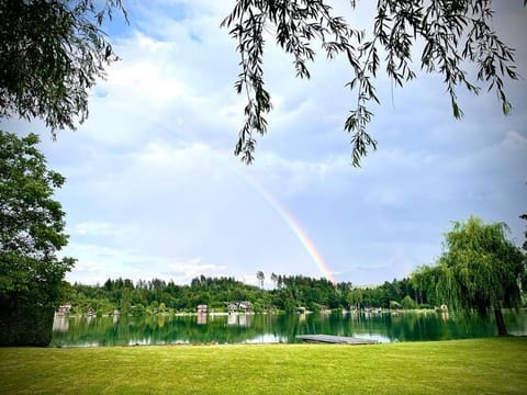 Lake view