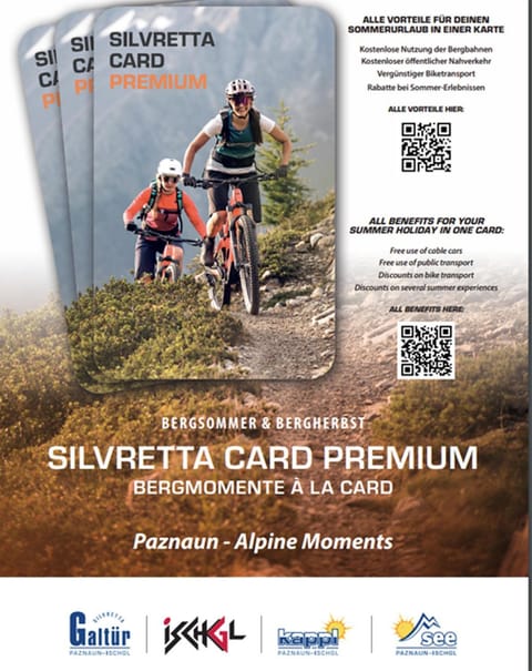 Chalet Sofie Apartment in Ischgl