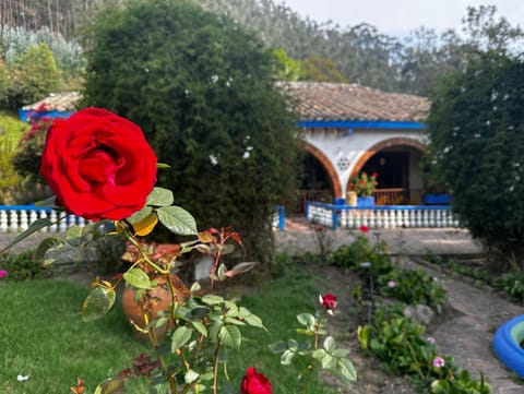 Off site, Garden, Garden view