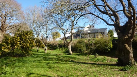 Natural landscape, Garden view