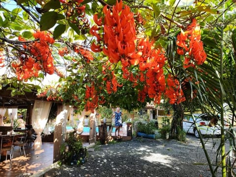 Pousada Cantinho de Casa Inn in State of Mato Grosso, Brazil