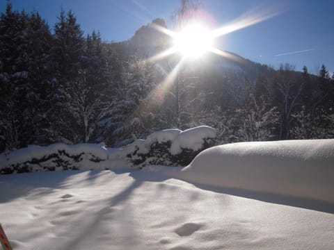 Natural landscape, Winter, Garden