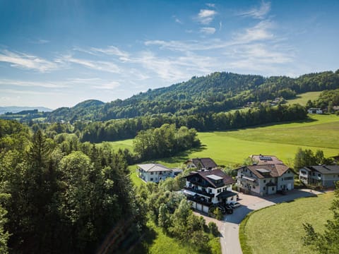 Bird's eye view, Mountain view