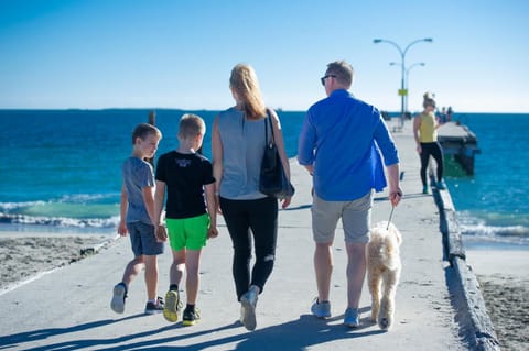 Fishing, Beach, Pets