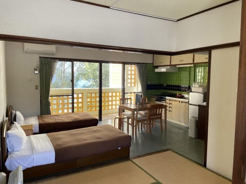 Bed, Balcony/Terrace, Kitchen or kitchenette, Photo of the whole room, Dining area, minibar, stove