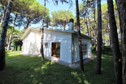 Property building, Garden, Garden view
