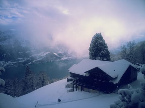 Winter, Lake view