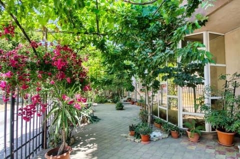 Property building, Day, Garden, Garden view