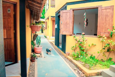 Patio, Facade/entrance, Pets