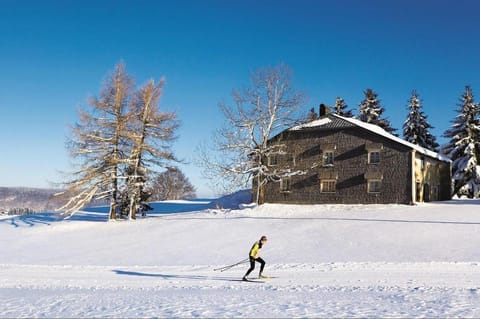 Winter, Skiing