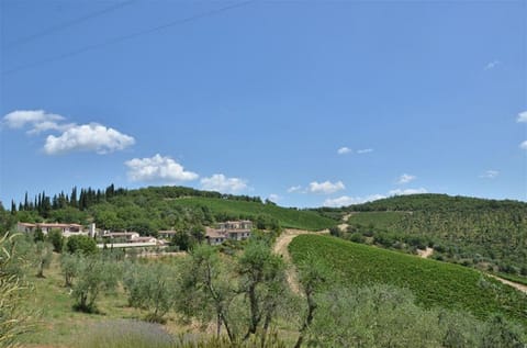 Taglialegna a Montefiorile House in Radda in Chianti