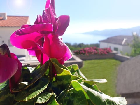 Garden view, Mountain view, Sea view