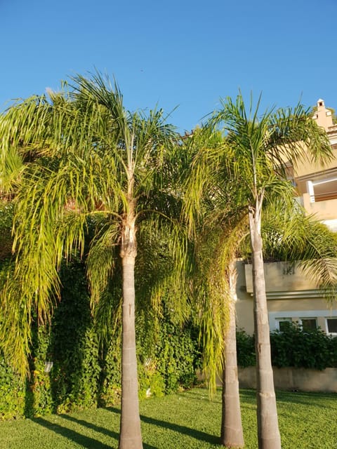 Banyan Cotobro House in Costa Tropical