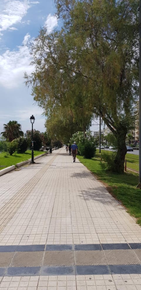 Perfect BeachFront Apartment Apartment in South Athens