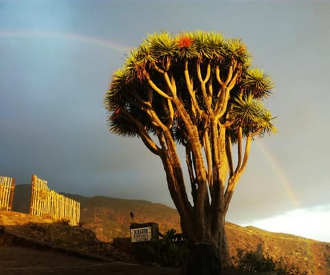 Casas las Gemelas VIEWPOINT! House in La Palma