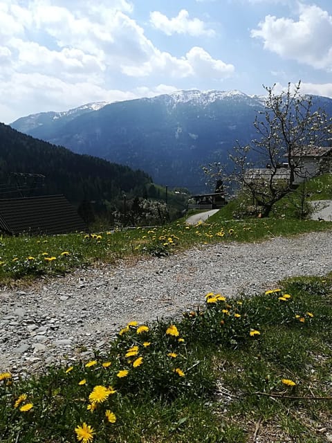 Chalet Catton Two Bedroom Appartement near Bad Kleinkirchheim Apartment in Carinthia, Austria