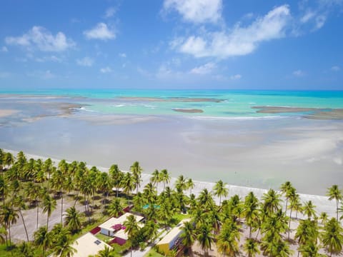 Bird's eye view, Beach