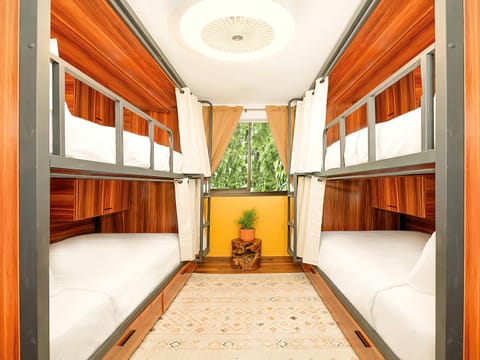 Bedroom, bunk bed