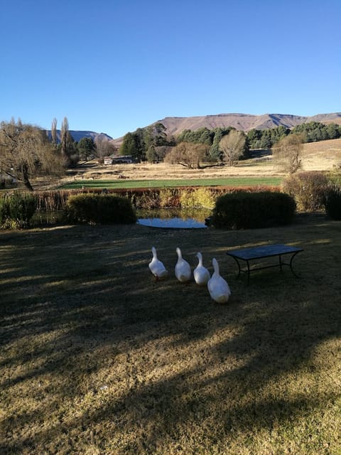 Walkerbouts Inn Bed and Breakfast in Eastern Cape