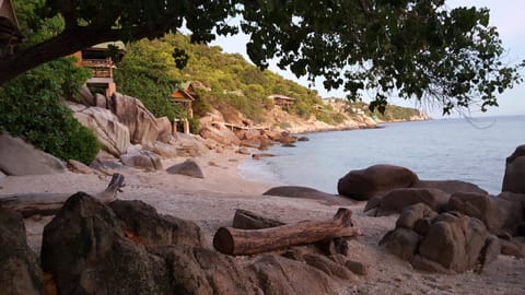 Natural landscape, Beach