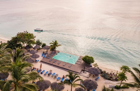 Bird's eye view, Pool view, Sea view