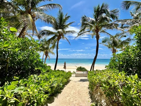 Beach, Landmark view