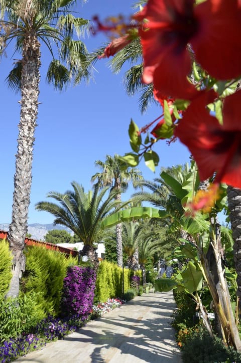 Emelda Sun Club Resort in Antalya Province