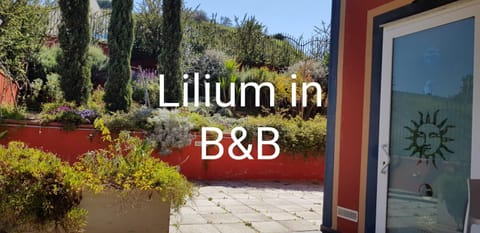 Lilium In B&B Übernachtung mit Frühstück in Gela