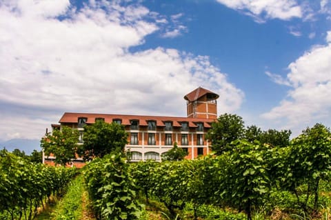 Savaneti Eco Hotel Hotel in Georgia