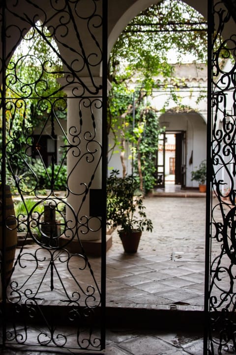 Patio, Garden, Garden view