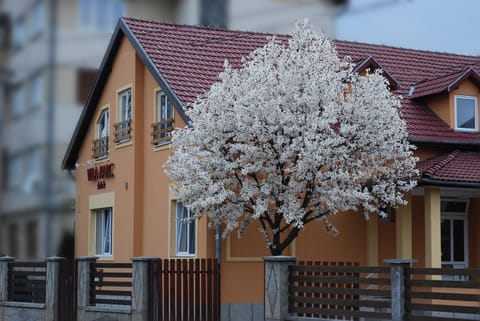 Villa Parc Bed and Breakfast in Cluj-Napoca