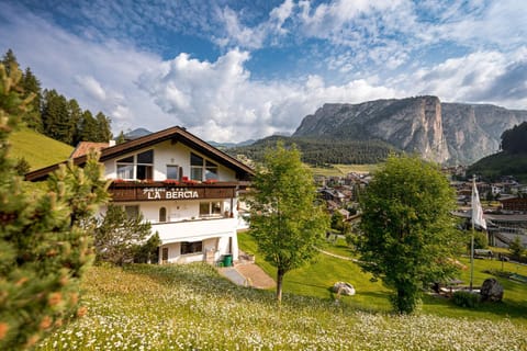 City view, Garden view