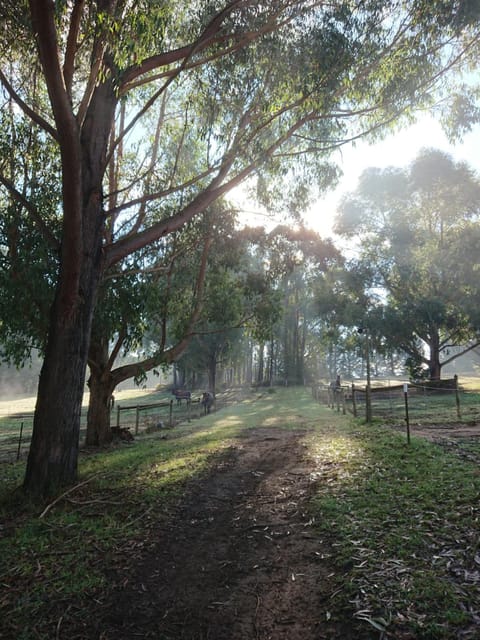 Carinya Park Farm Stay in Gembrook