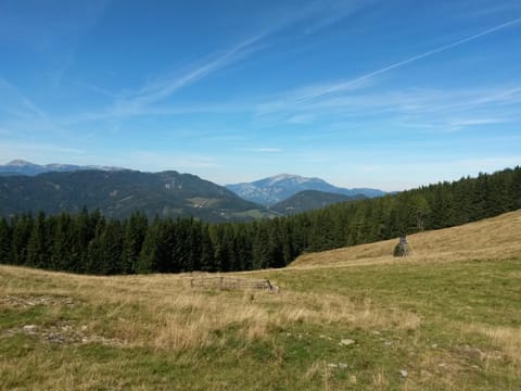 Natural landscape, Hiking, Mountain view