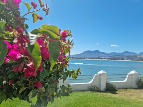 Westbank Private Beach Villa, 4 Bedrooms, Private pool, on the Beach! Villa in Cape Town