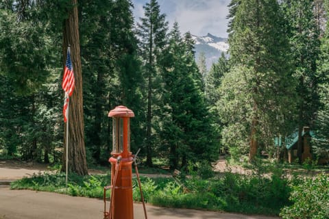 Silver City Mountain Resort Nature lodge in Sequoia National Park