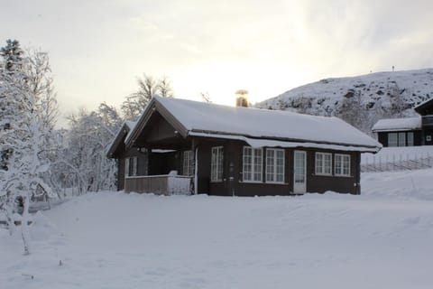 Bergestua - 4 bedroom cabin Chalet in Innlandet