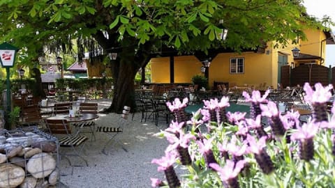 Restaurant/places to eat, Garden