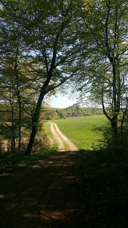 Hiking