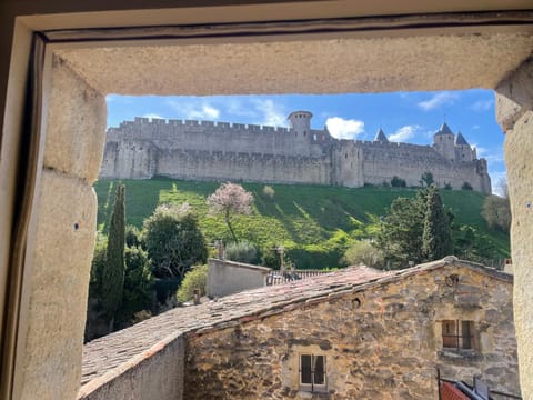 Pelletier du Claux Apartment in Carcassonne