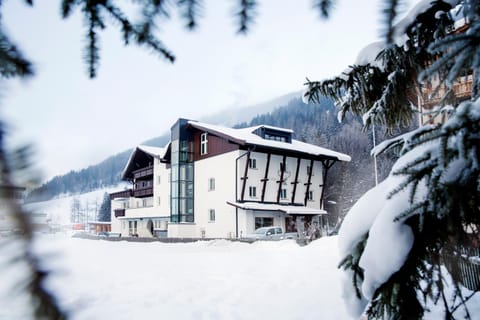 Property building, Natural landscape, Winter, Mountain view