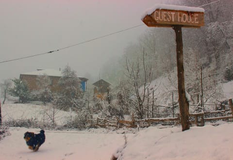 Nearby landmark, Neighbourhood, Natural landscape, Winter, Pets, Street view