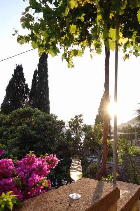 Garden, Balcony/Terrace